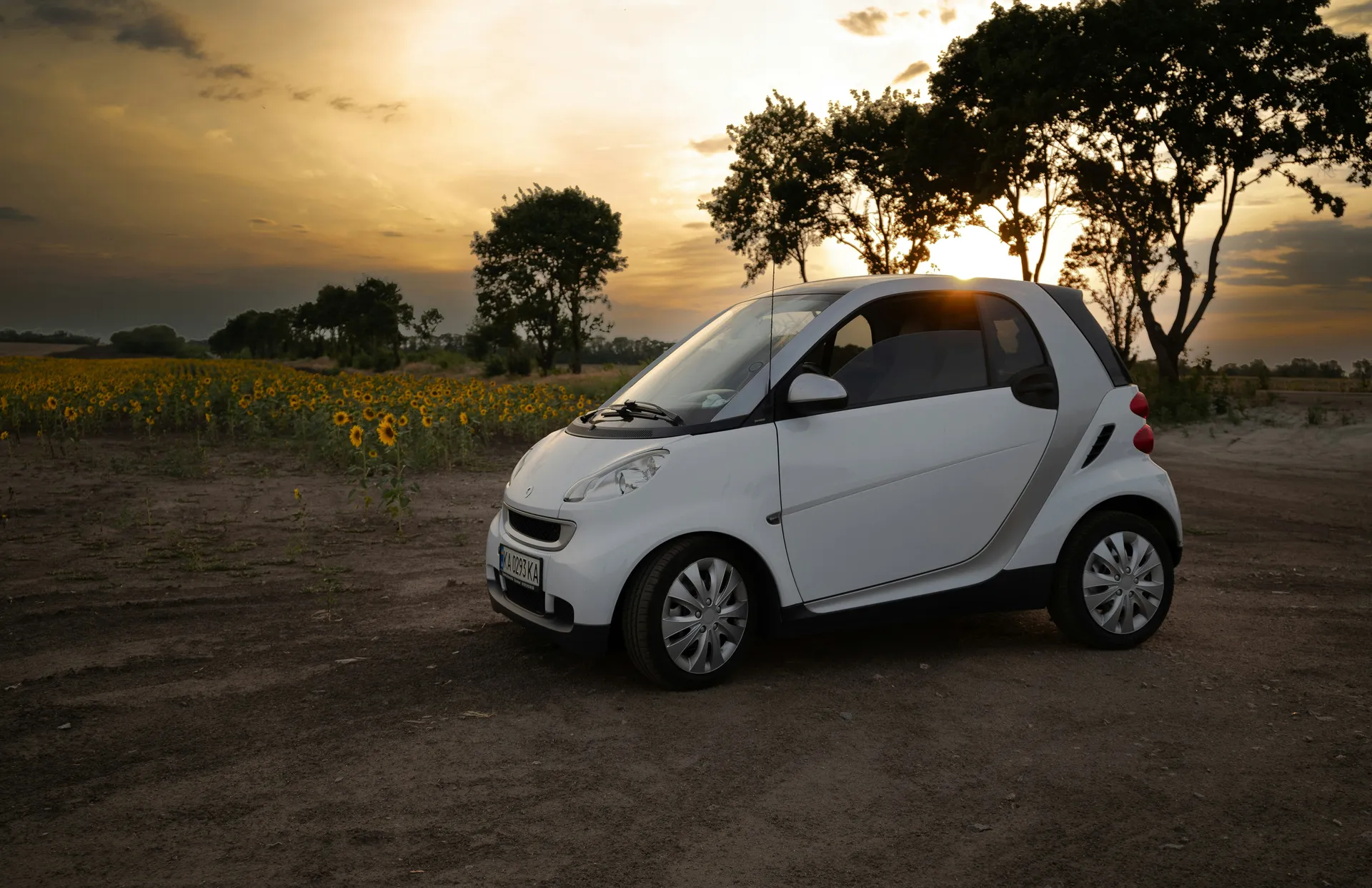 Model van een automerk in de hero van de website